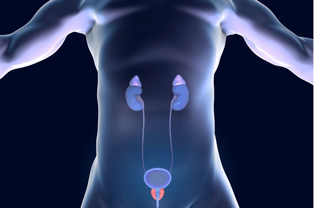 Genitourinary oncology treatment in dubai